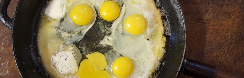 2017-06/banner17.jpg