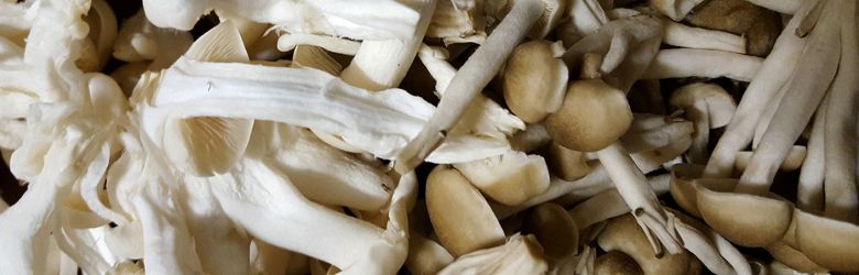 2017-08/banner40.jpg